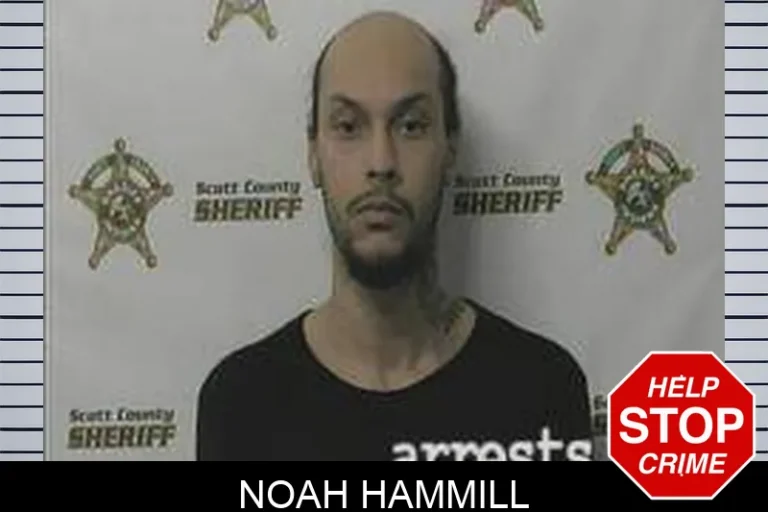 Noah Hammill