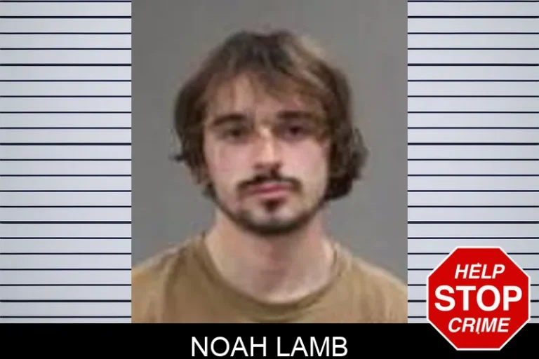 Noah Lamb