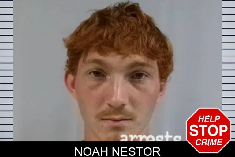 Noah Nestor