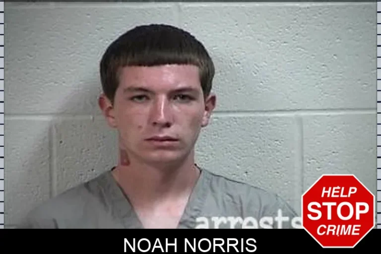 Noah Norris
