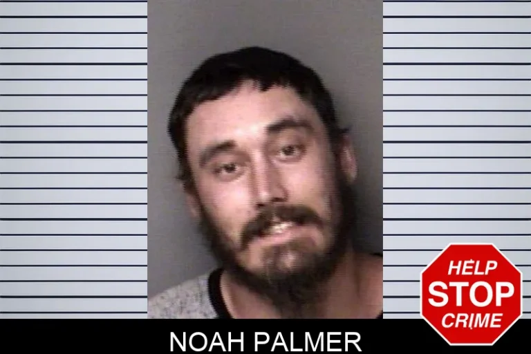 Noah Palmer