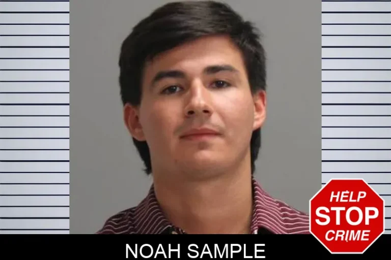 Noah Sample