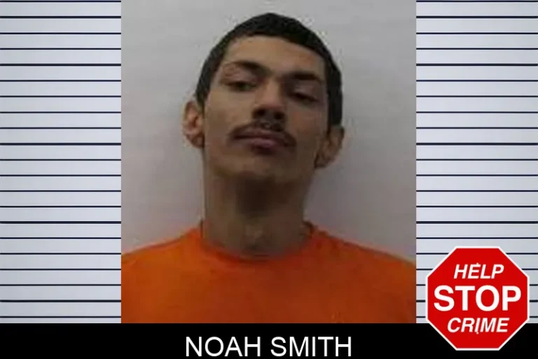 Noah Smith