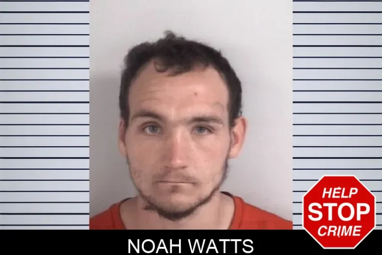 Noah Watts