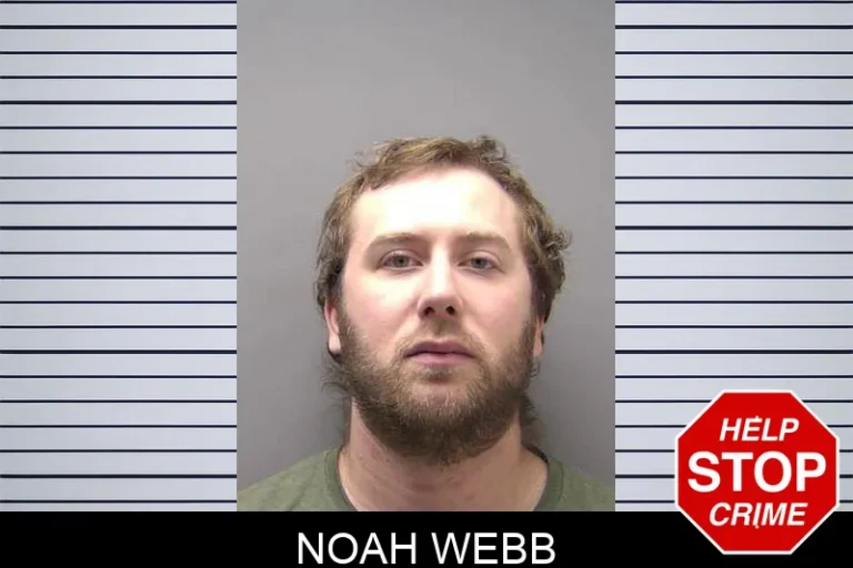 Noah Webb