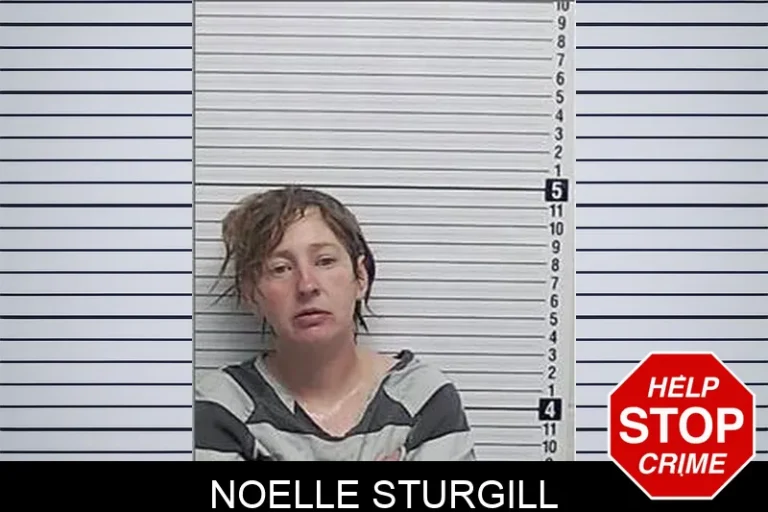 Noelle StuRgill