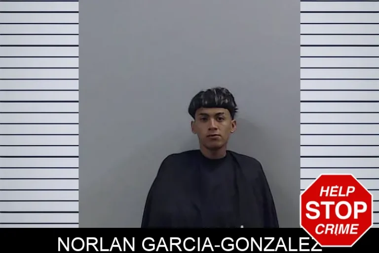 Norlan Garcia-Gonzalez
