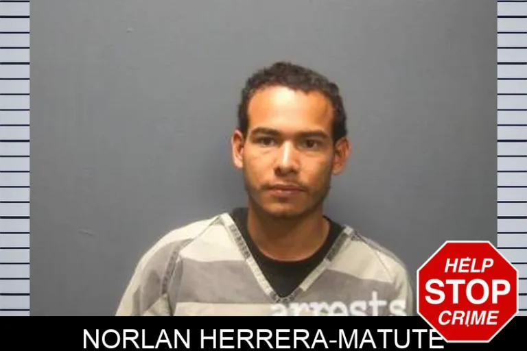 Norlan Herrera-MatuTe