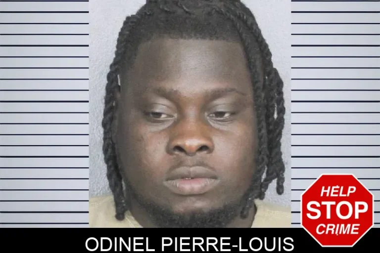 Odinel Pierre-LouIs