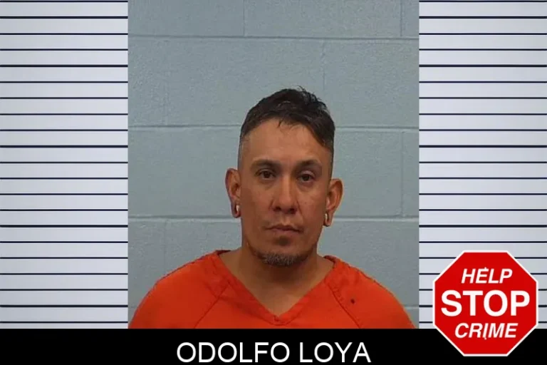 Odolfo Loya