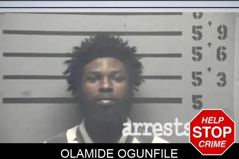 Olamide OguNfile