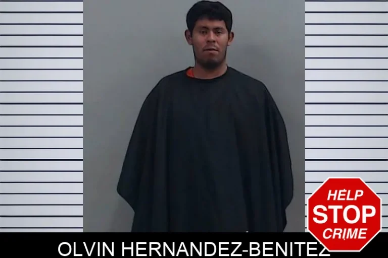 Olvin Hernandez-Benitez