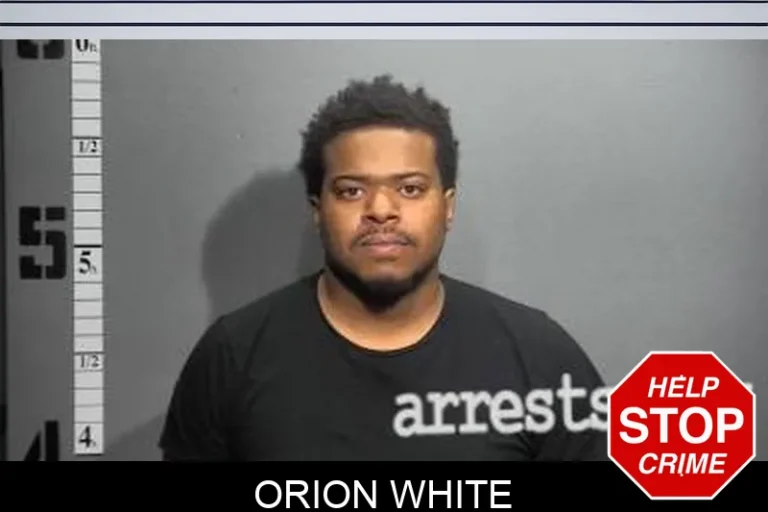 Orion White