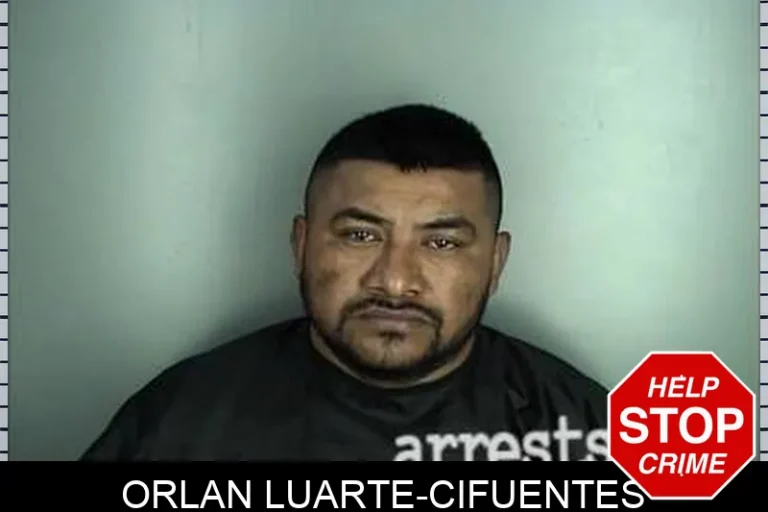 Orlan LuArte-CifuEntes