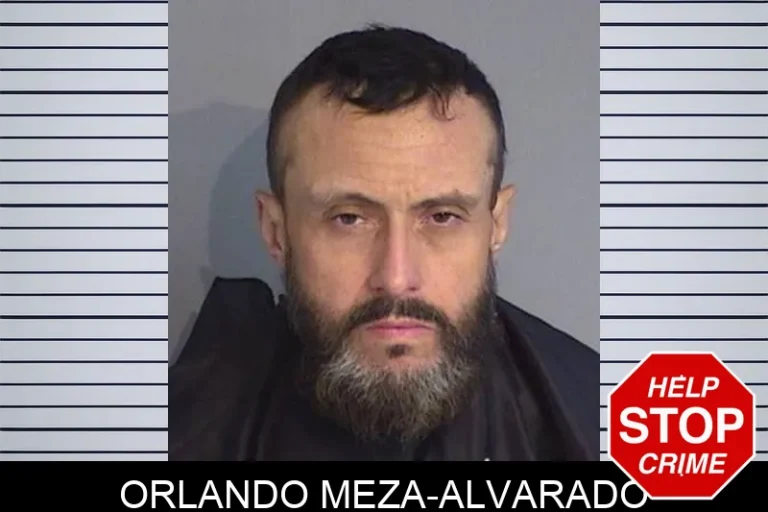 Orlando Meza-Alvarado