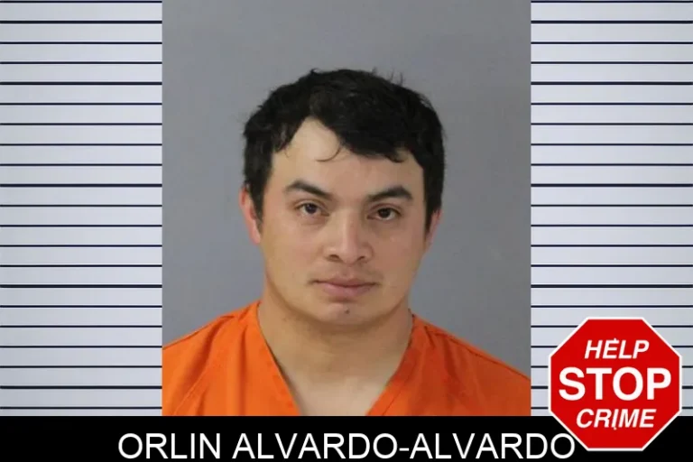 Orlin Alvardo-Alvardo