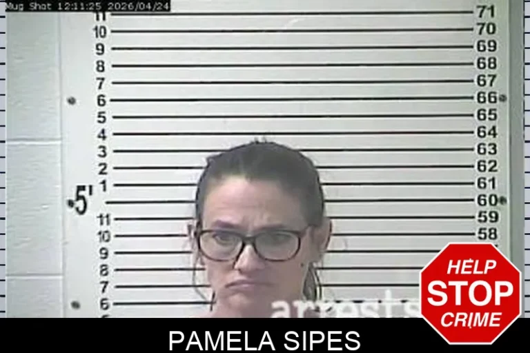 Pamela Sipes