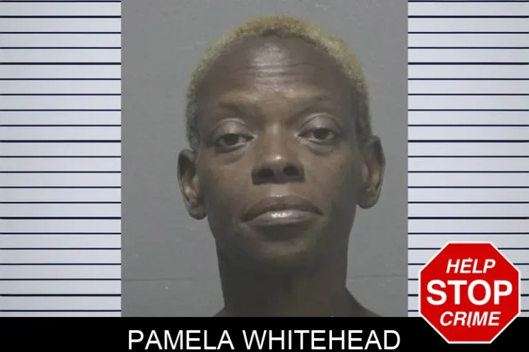 Pamela Whitehead