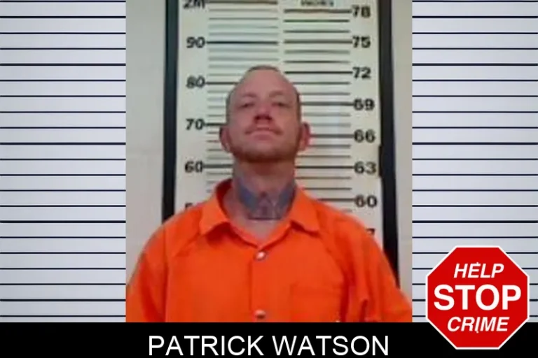 Patrick Watson
