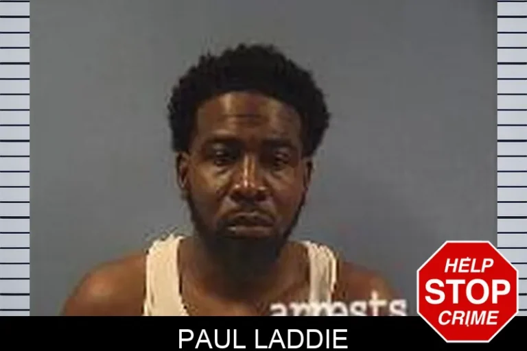 PauL Laddie