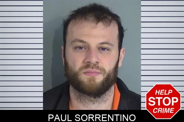 PauL Sorrentino