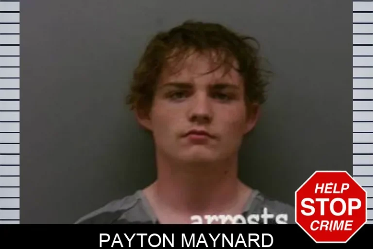 Payton Maynard