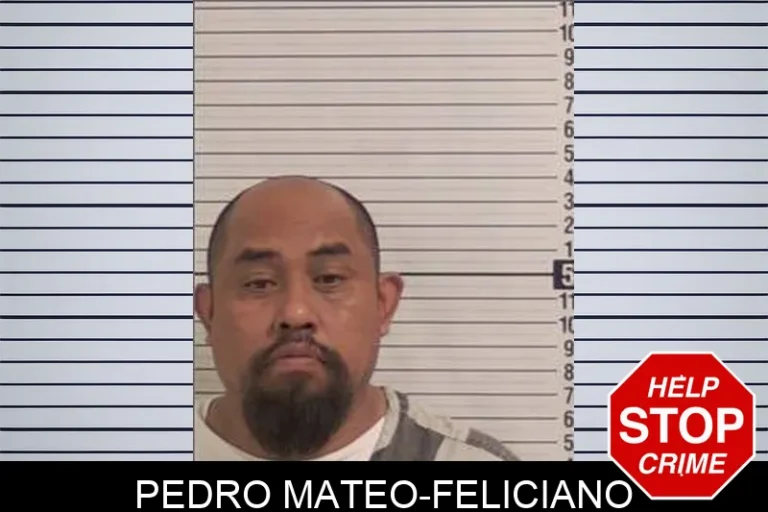 Pedro Mateo-Feliciano