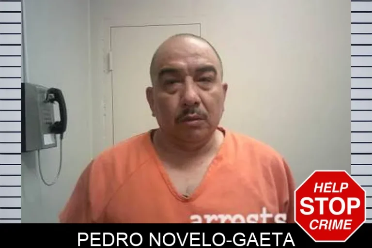 Pedro Novelo-Gaeta