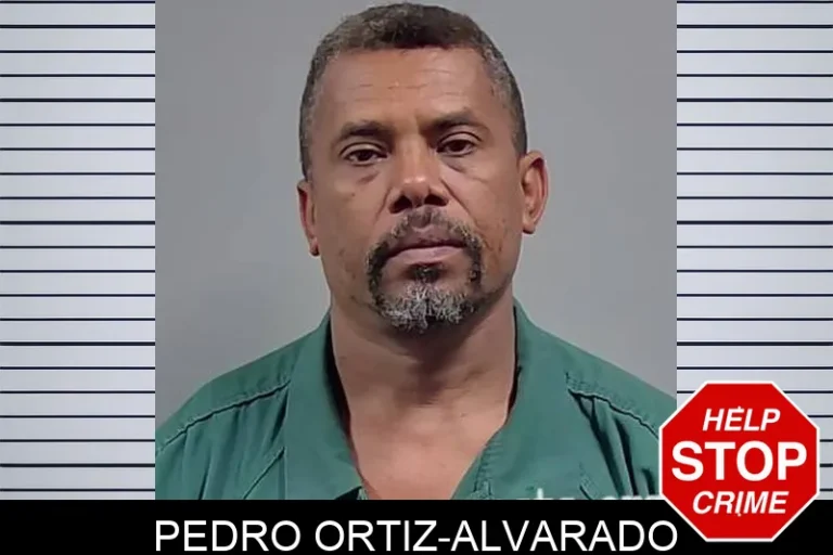 Pedro Ortiz-Alvarado