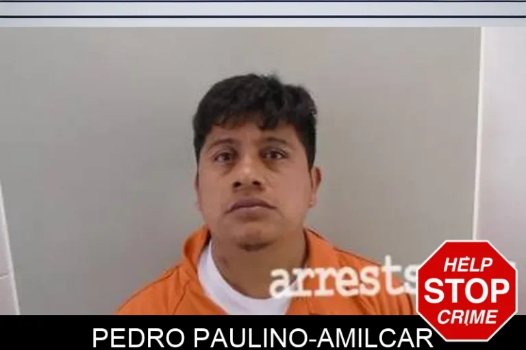 Pedro PauLino-Amilcar
