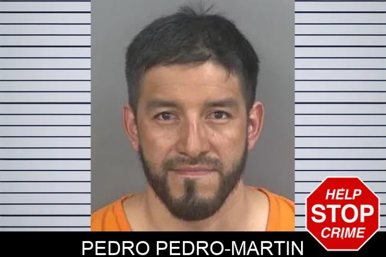 Pedro Pedro-Martin