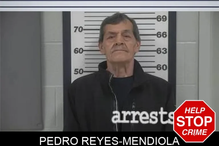 Pedro Reyes-Mendiola