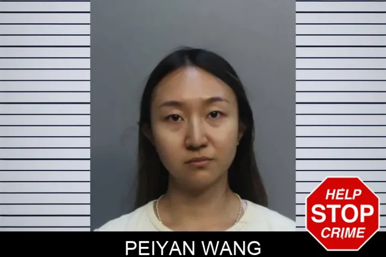 Peiyan Wang