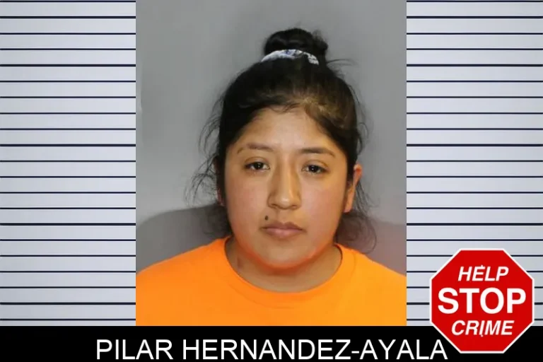 Pilar Hernandez-Ayala