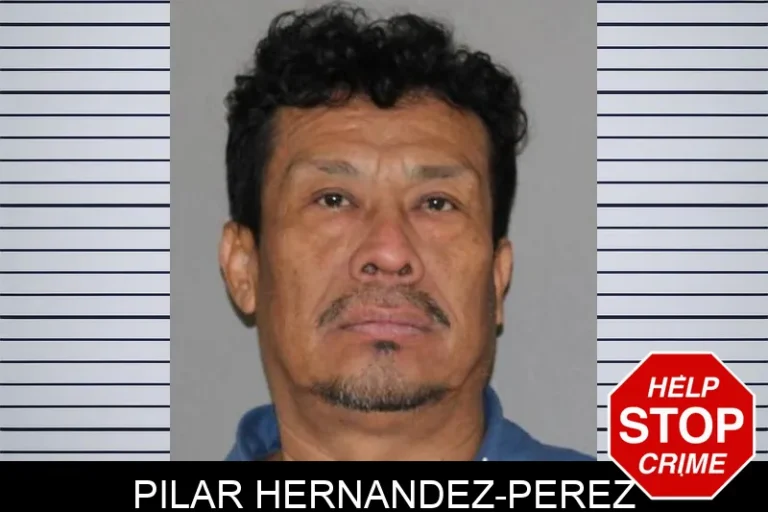 Pilar Hernandez-Perez