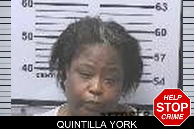 QuIntilla York