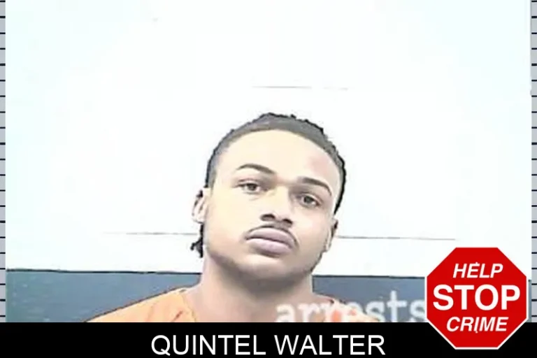 Quintel Walter