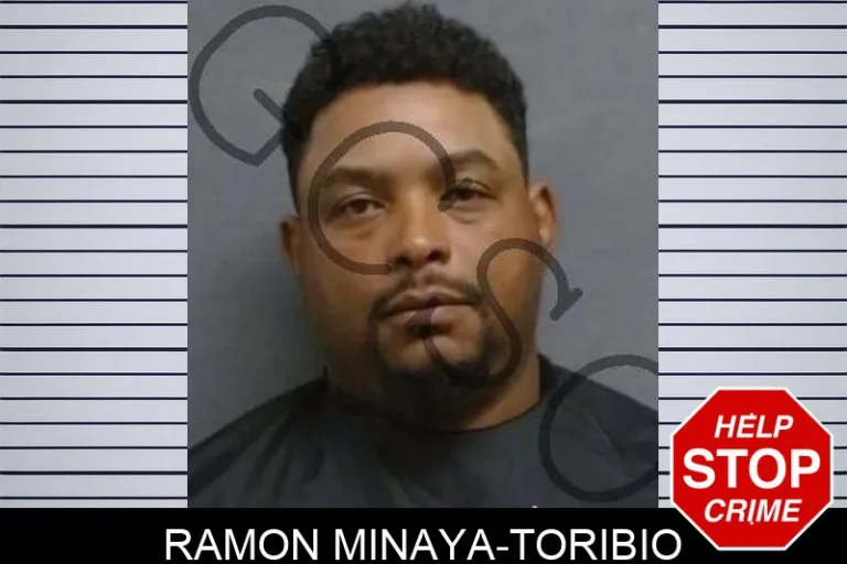 Ramon Minaya-Toribio