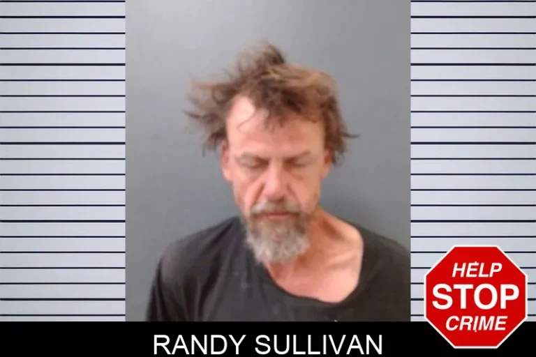 Randy Sullivan