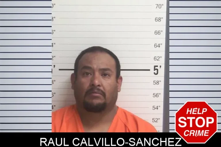 RauL Calvillo-Sanchez