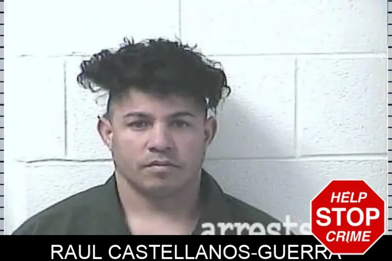 RauL Castellanos-GuErra