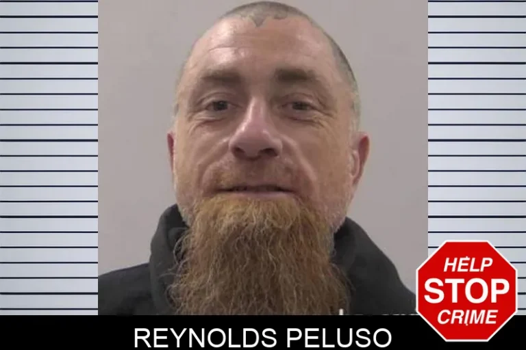 Reynolds PeluSo