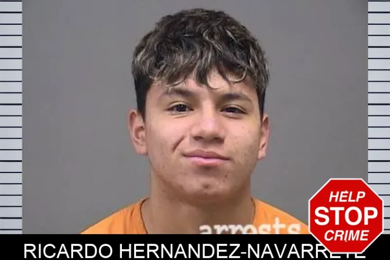 Ricardo Hernandez-Navarrete