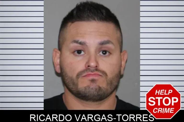 Ricardo Vargas-Torres