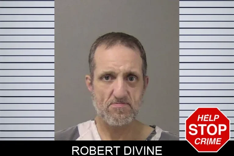 Robert Divine