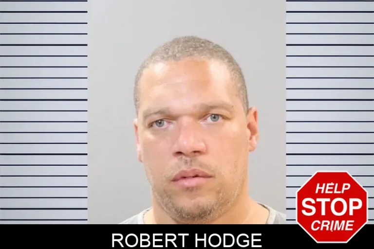 Robert Hodge