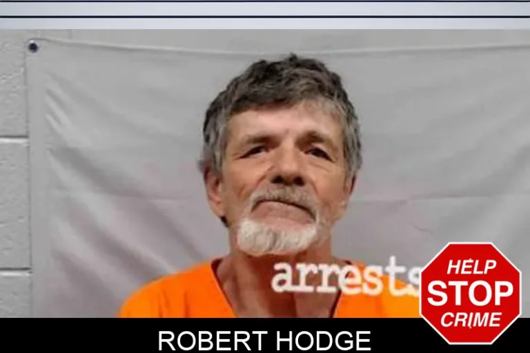 Robert Hodge