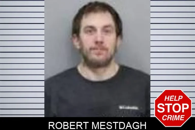 Robert Mestdagh