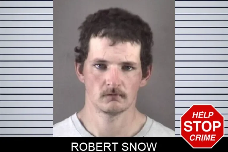 Robert Snow