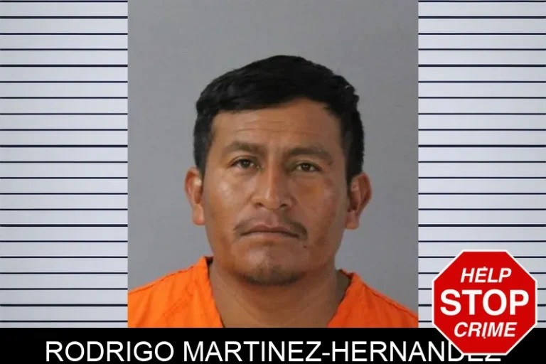 Rodrigo Martinez-Hernandez